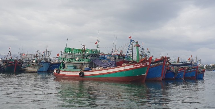 Tàu khai thác hải sản ở Khánh Hòa gặp khó khi giá dầu tăng mạnh.