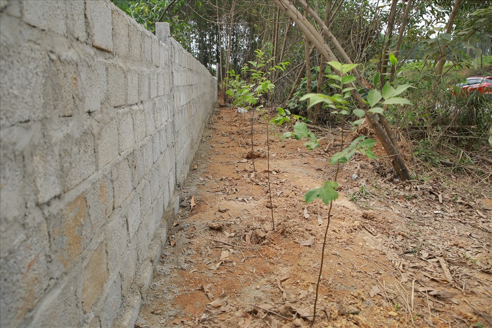 Cấp tốc xây nhà, trồng cây ở ngay địa điểm khoan thăm dò địa chất phục vụ dự án cao tốc. Ảnh: Hưng Thơ.
