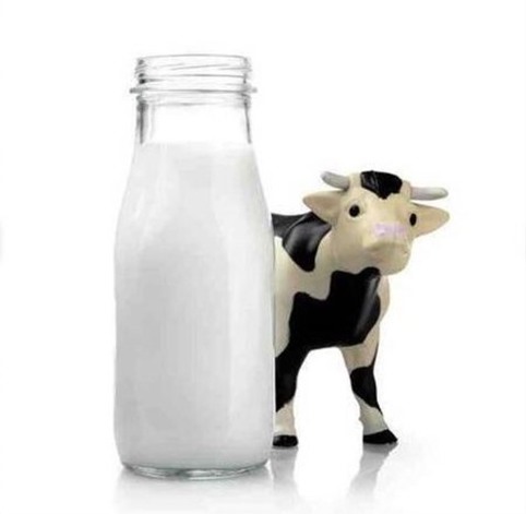 Sữa bò là một nguồn cung cấp vitamin D dồi dào (Ảnh: AFP)