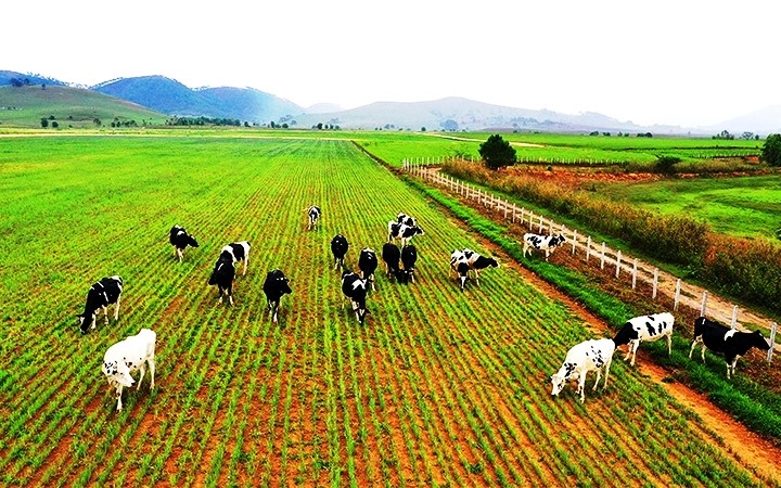 Dự án đầu tư nông nghiệp của Việt Nam tại Lào. Ảnh: TL