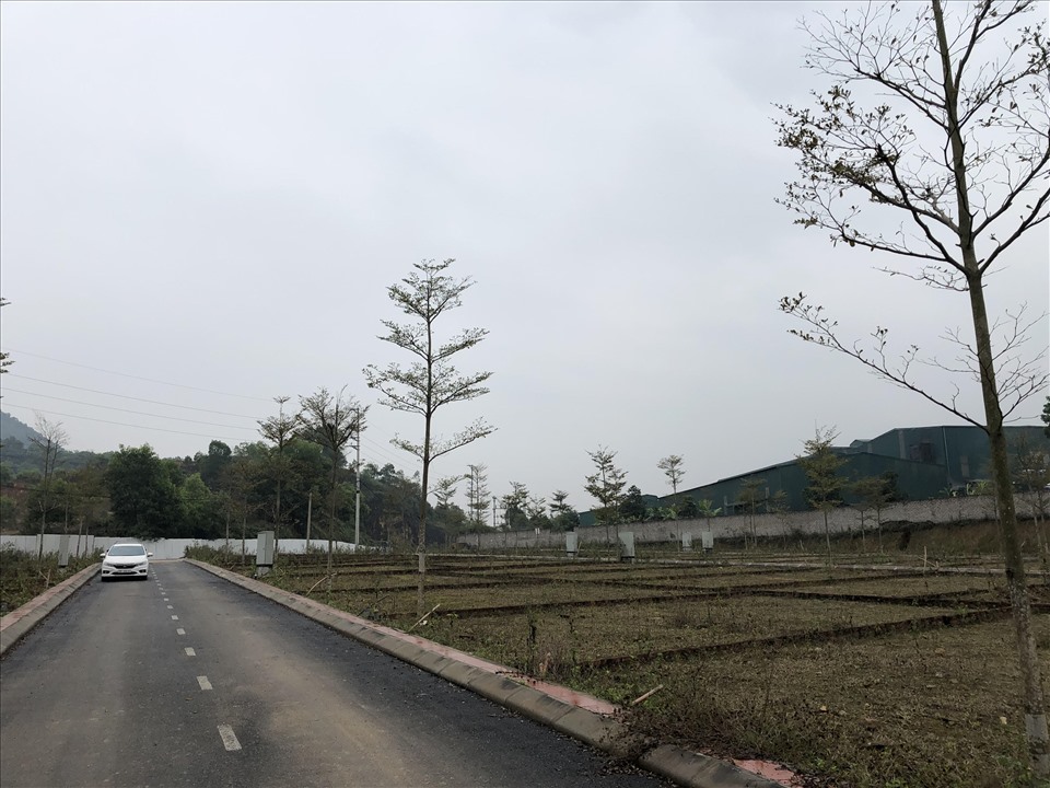 Khu đất được phân lô ở Bãi Dài Tiến Xuân bán hết từ năm 2021 nhưng đến nay vẫn bỏ hoang. Ảnh Cao Nguyên.