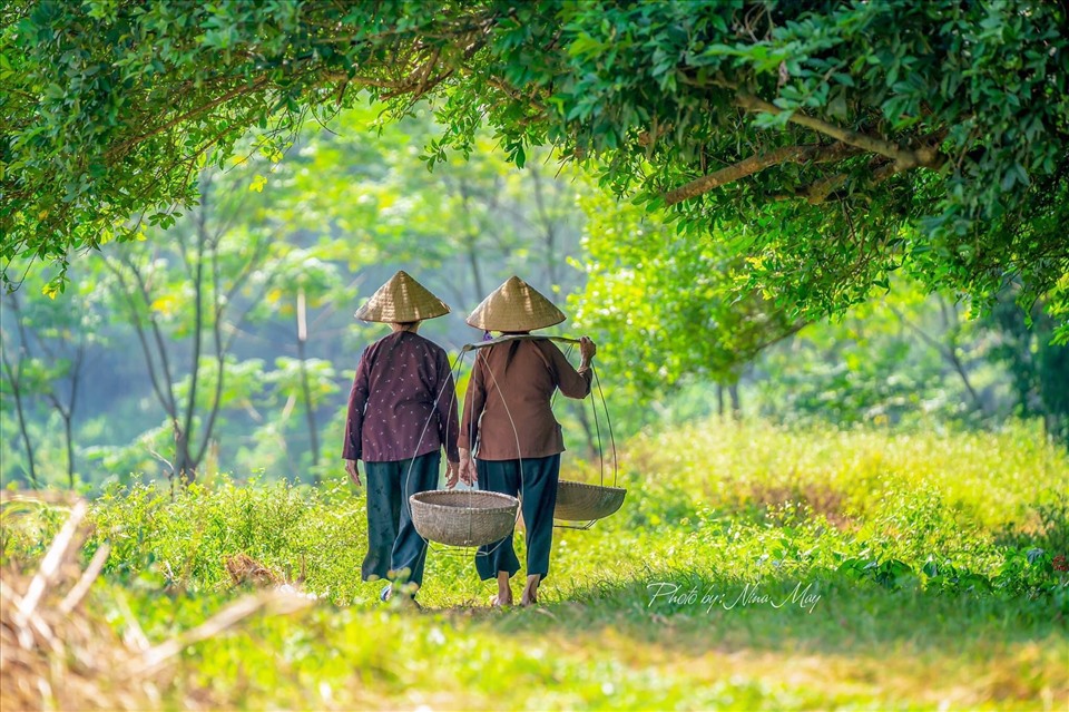 Ngắm Vẻ Trầm Mặc Tựa Tranh Vẽ Của Làng Cổ Đường Lâm