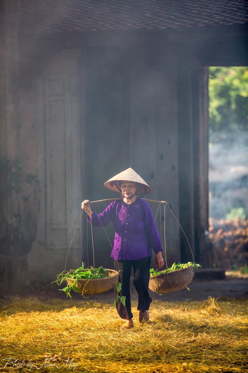 Tháng 5, 6 hàng năm – khi những cánh đồng lúa vào độ chín rộ, Đường Lâm vào ngày mùa cũng là lúc du khách kéo về đây đông nhất. Những con đường ở Đường Lâm trải đầy thóc và rơm khô tạo nên một khung cảnh làng quê ấm no, yên bình, hiếm nơi nào có được.