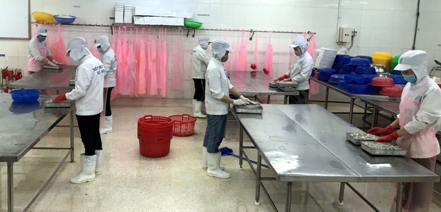 Công nhân trong xí nghiệp chế biến thủy sản tại tỉnh Cà Mau vừa sản xuất vừa phòng chống dịch bệnh COVID-19. Ảnh: Nguyễn Vũ