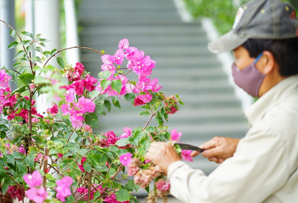 Bên cạnh đó, với sự lựa chọn đội ngũ làm vườn chuyên nghiệp, có kinh nghiệm, vì vậy cây hoa trong nhà máy nở rộ đúng mùa, đảm bảo một khuân viên luôn tra đầy màu sắc quanh năm.