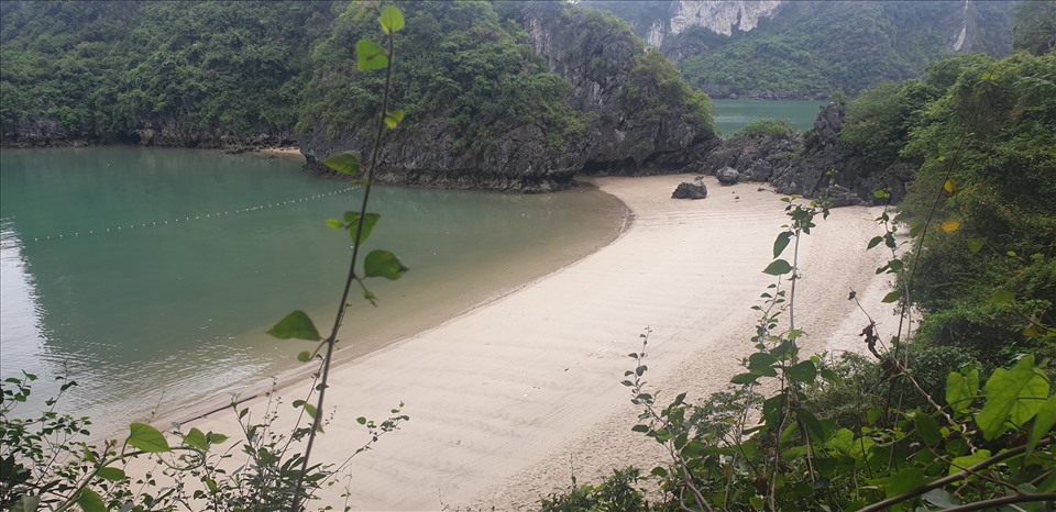 Giữa vịnh Hạ Long có rất nhiều bãi tắm đẹp như thế này nhưng du khách không được tắm. Ảnh: Nguyễn Hùng