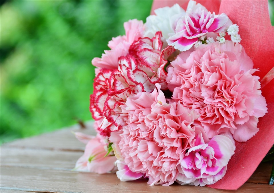 Hoa cẩm chướng chứa đựng nhiều ý nghĩa sâu sắc. Ảnh: Canva