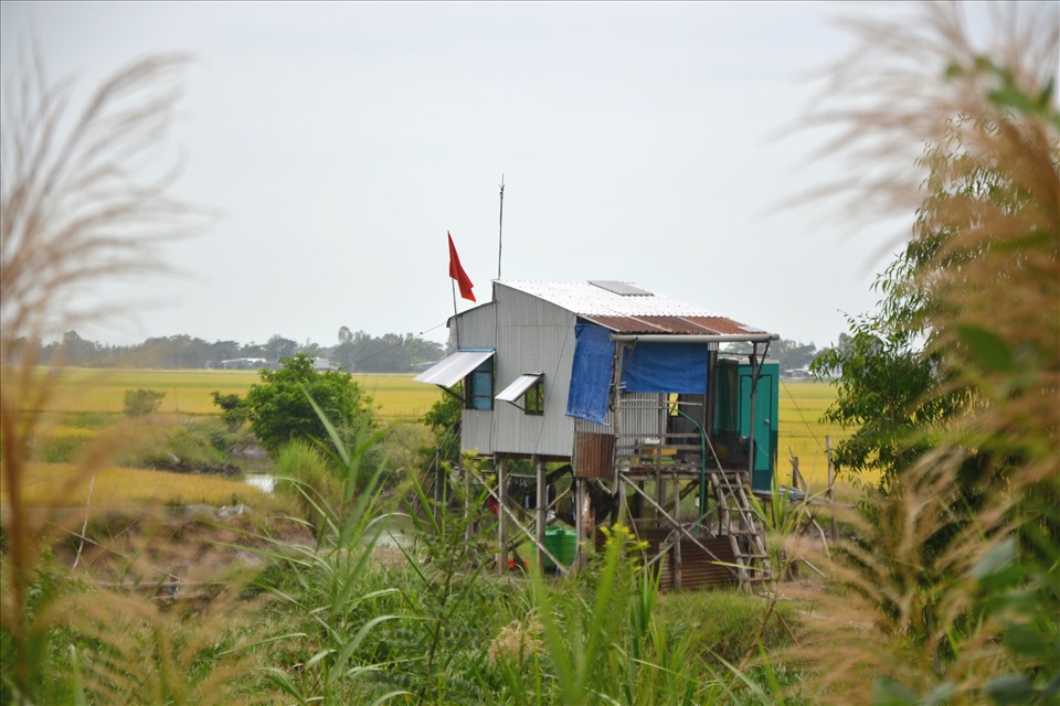 Chốt phòng chống dịch COVID-19 khu vực Chắc- ri (Đồn Biên phòng Vĩnh Ngươn- Bộ đội Biên phòng tỉnh An Giang) nằm giữa cánh đồng đầy nắng và gió. Ảnh: LT