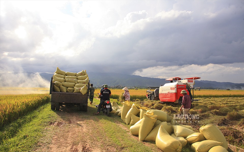 Hiện nay để vận chuyển nông sản từ TP. Điện Biên Phủ về đến Hà Nội phải mất từ 15-20 giờ cho quãnh đường gần 500km.