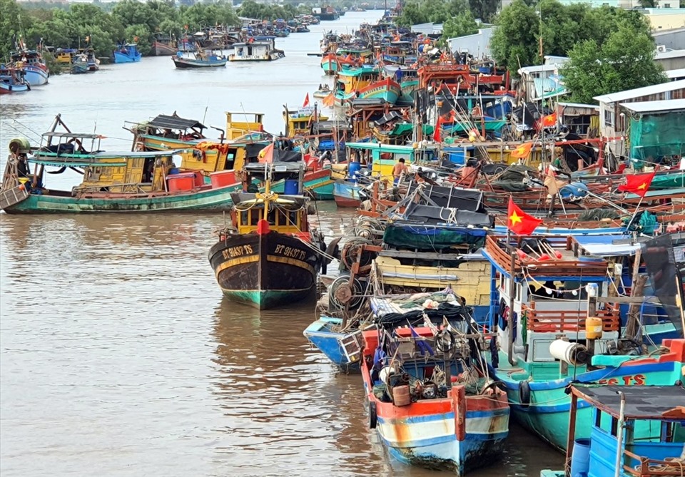 Xăng dầu tăng giá khiến lượng tàu cá nằm bờ tại tỉnh Bạc Liêu cũng tăng theo. Ảnh: Nhật Hồ