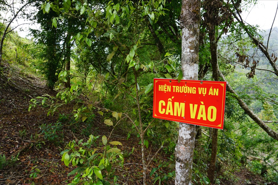 Công an đang điều tra vụ án hủy hoại rừng ở xã Măng Cành. Ảnh T.T