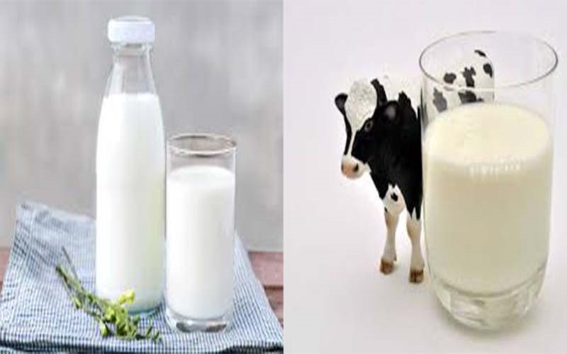 Sữa bò: Dị ứng sữa bò xảy ra phổ biến ở trẻ dưới 1 tuổi với tỉ lệ mắc khoảng từ 2 - 7,5%, đa phần sẽ khỏi hẳn khi trẻ được 3 tuổi. Người bị dị ứng sữa bò thường gặp các triệu chứng như phát ban, nổi mề đay, nôn mửa và trong một số trường hợp hiếm gặp là sốc phản vệ.