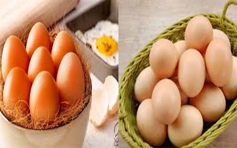 Trứng: Dị ứng trứng là tình trạng hệ thống miễn dịch xác nhận protein trong trứng có hại với cơ thể. Khi ăn trứng, các kháng thể sẽ nhận ra protein và báo hiệu hệ thống miễn dịch giải phóng histamin cùng các hóa chất khác gây dị ứng. Cả lòng trắng và lòng đỏ của đều chứa protein gây dị ứng. Tuy nhiên dị ứng với lòng trắng trứng phổ biến hơn.