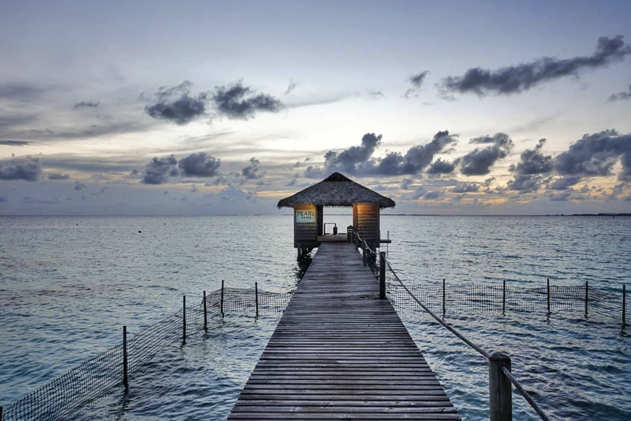 Fakarava là một đảo san hô thuộc quần đảo Tuamotu (Pháp)