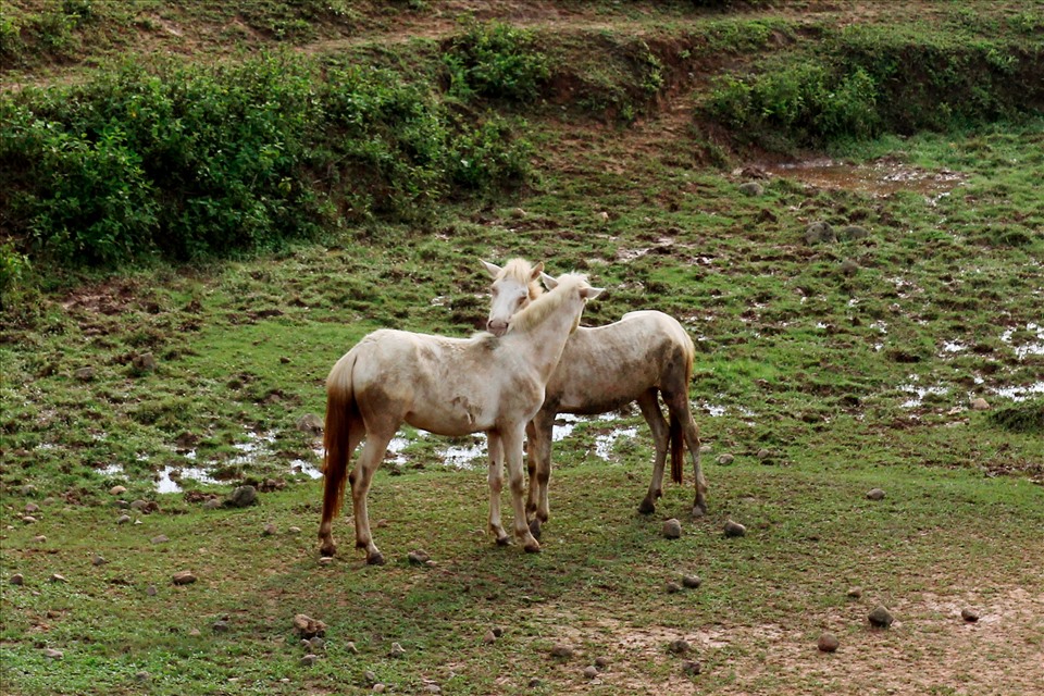 Âu yếm.