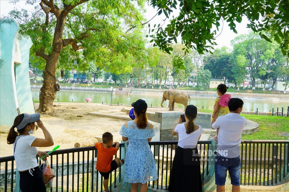 Nhiều bạn nhỏ thích thú khi được tận mắt chứng kiến nhiều loài động vật trong sở thú. Ảnh: PV.