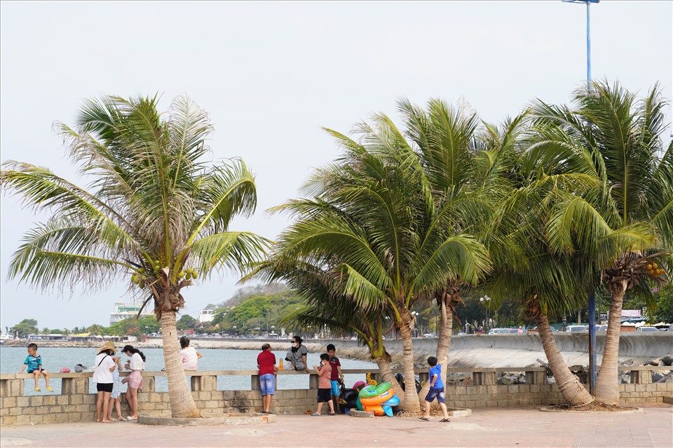 Bãi cỏ xanh, bóng mát của những tán cây, những hàng dừa được nhiều người chọn là nơi nghỉ mát. Bãi tắm êm ả, khá sạch sẽ là nơi vui chơi của nhiều du khách tắm biển. Ảnh: T.A