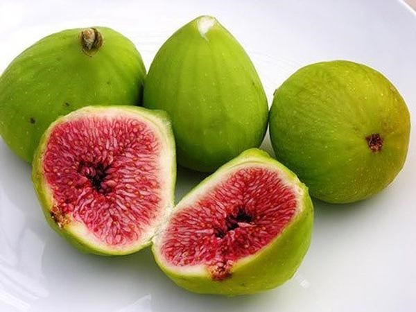 Quả sung là loại trái cây giàu chất xơ, đồng thời cung cấp các chất dinh dưỡng khác như magie, kali, canxi, và vitamin B6 và K1.