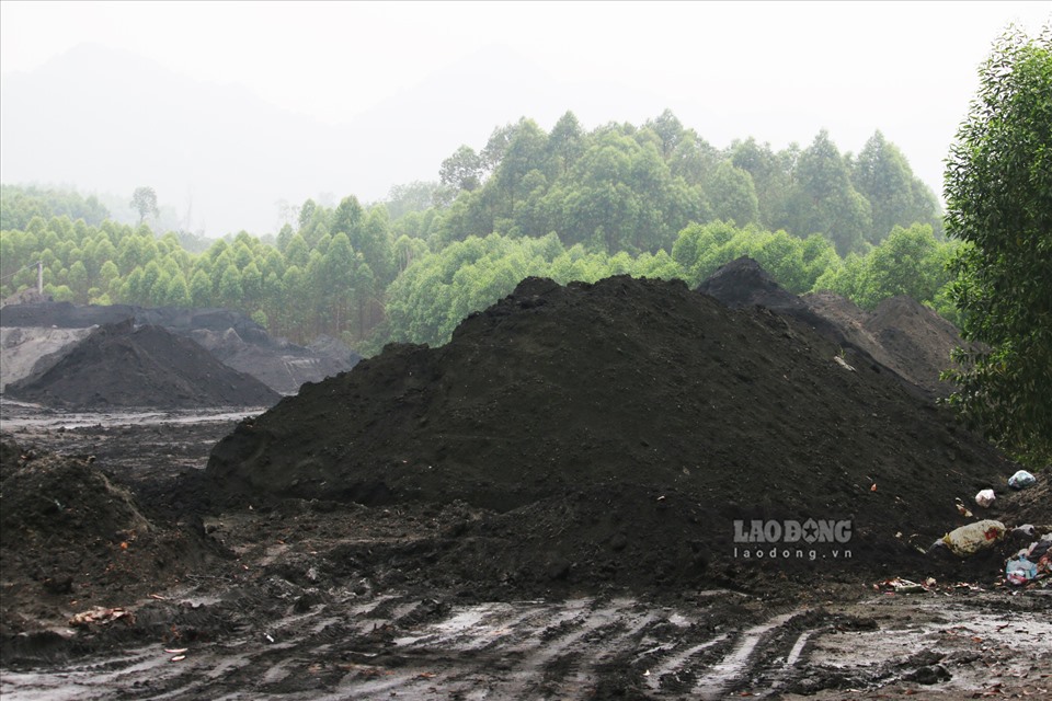 Số tro xỉ than này sau khi được tập kết về đây sẽ pha trộn thêm với một số phụ gia khác để bán cho các nhà máy sản xuất gạch nung.