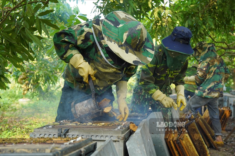 Công nhân chuẩn bị ống khói để xua đuổi bớt ong, hạn chế bị ong đốt.