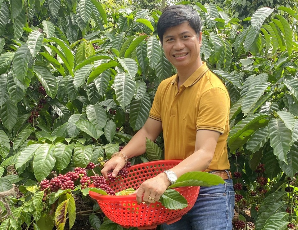Anh Lê Văn Vương đã xây dựng chuỗi cà phê hữu cơ, sạch từ trang trại đến khi sử dụng. Ảnh: Phan Tuấn