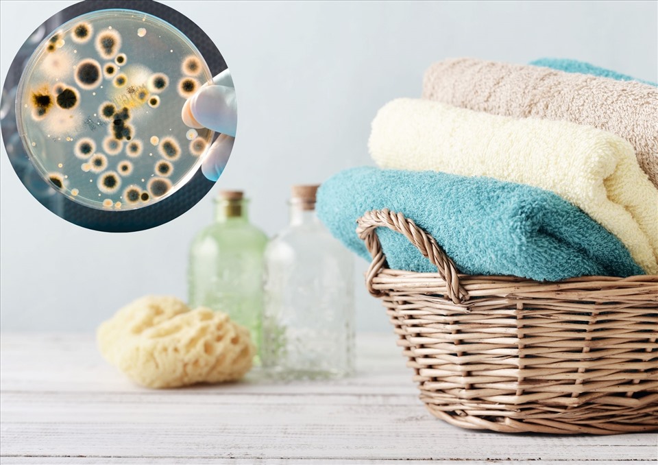 Khăn tắm là một trong những đồ vật chứa rất nhiều vi khuẩn. Ảnh minh họa: Thảo Hương