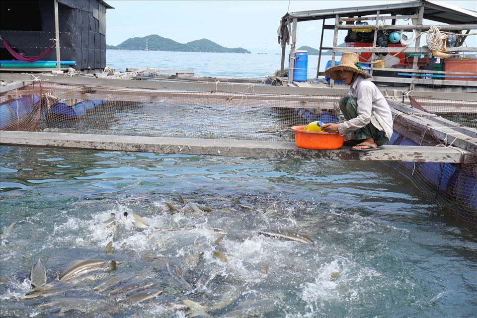 Nuôi trồng thủy sản là một trong những thế mạnh của tỉnh Kiên Giang. Ảnh: PV