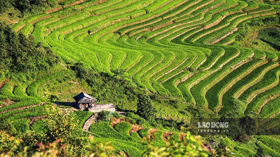 Bên cạnh đó, Tủa Chùa còn có hệ thống ruộng bậc thang đặc trưng của nền văn hóa trồng lúa nước trên đất dốc.