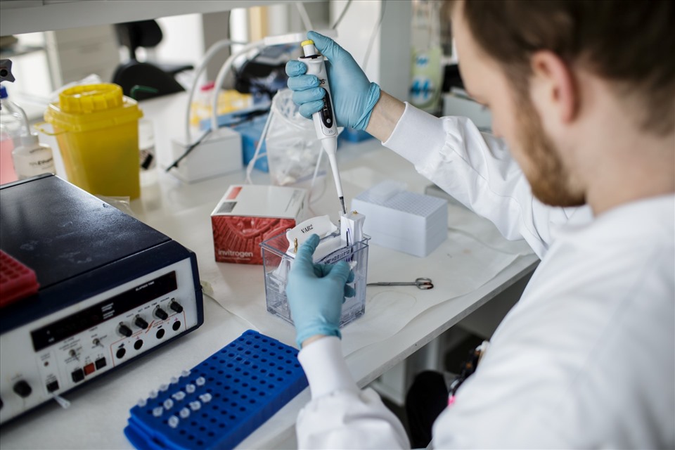 Nhà khoa học Đan Mạch nghiên cứu vaccine COVID-19 trong phòng thí nghiệm. Ảnh: AFP