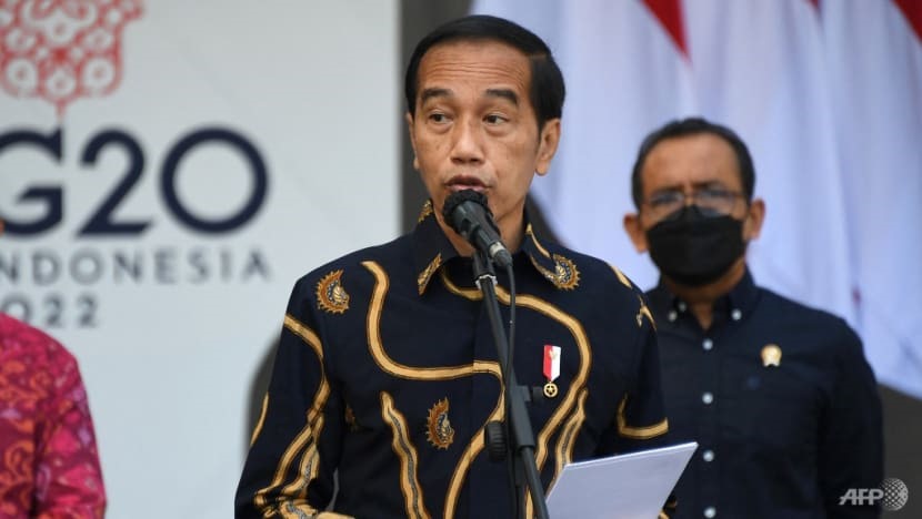 Tổng thống Indonesia Joko Widodo. Ảnh: AFP