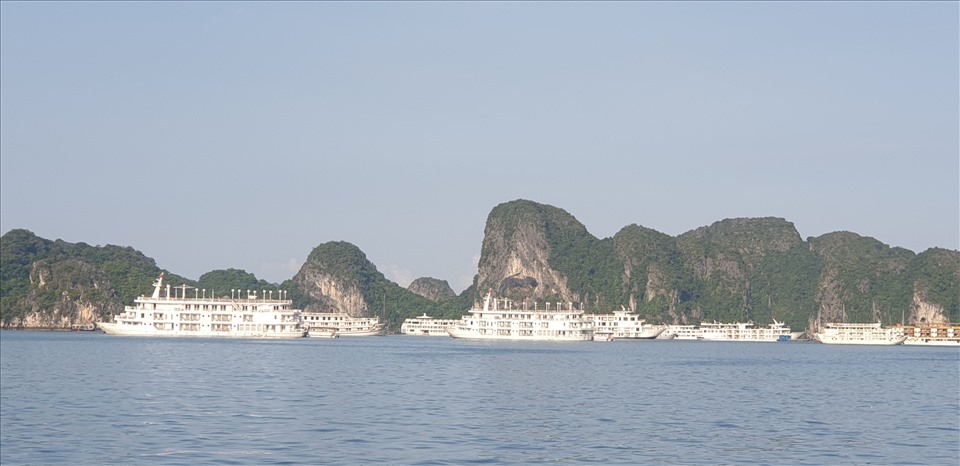 Lâu lắm rồi mới có cảnh các tàu nối đuôi nhau trên vịnh Hạ Long. Ảnh: Nguyễn Hùng