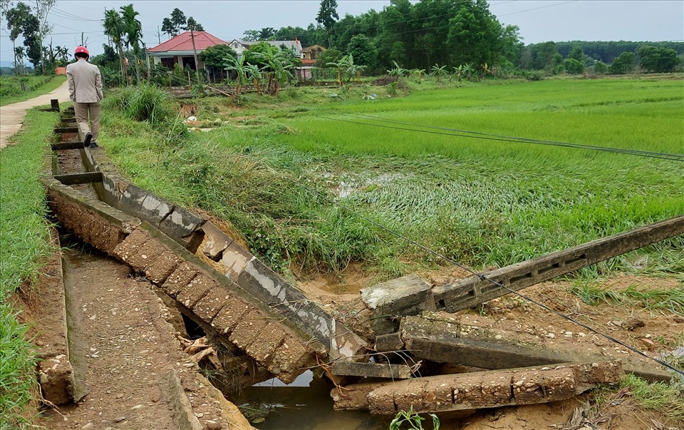 Theo thống kê, mưa lũ tại tỉnh Quảng Trị đã gây ngập úng, đổ ngã khoảng 10.534,34ha lúa và 3.157,6ha cây trồng các loại. Trong đó, riêng lúa ở huyện Hải Lăng thiệt hại 6.370ha. Mưa lũ còn khiếu nhiều đoạn kênh mương nội đồng bị hư hỏng.