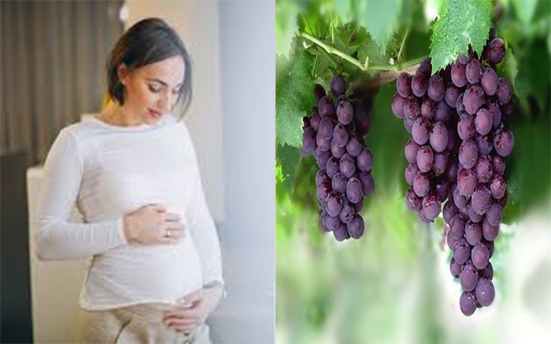 Quả nho: Đây là lựa tuyệt vời cho bà bầu trong giai đoạn thai kỳ. Nho chứa các chất dinh dưỡng thiết yếu như glucose, magiê, canxi, sắt và axit folic. Loại trái cây này cũng rất giàu các enzym quan trọng khác cần thiết cho sự phát triển của thai nhi.