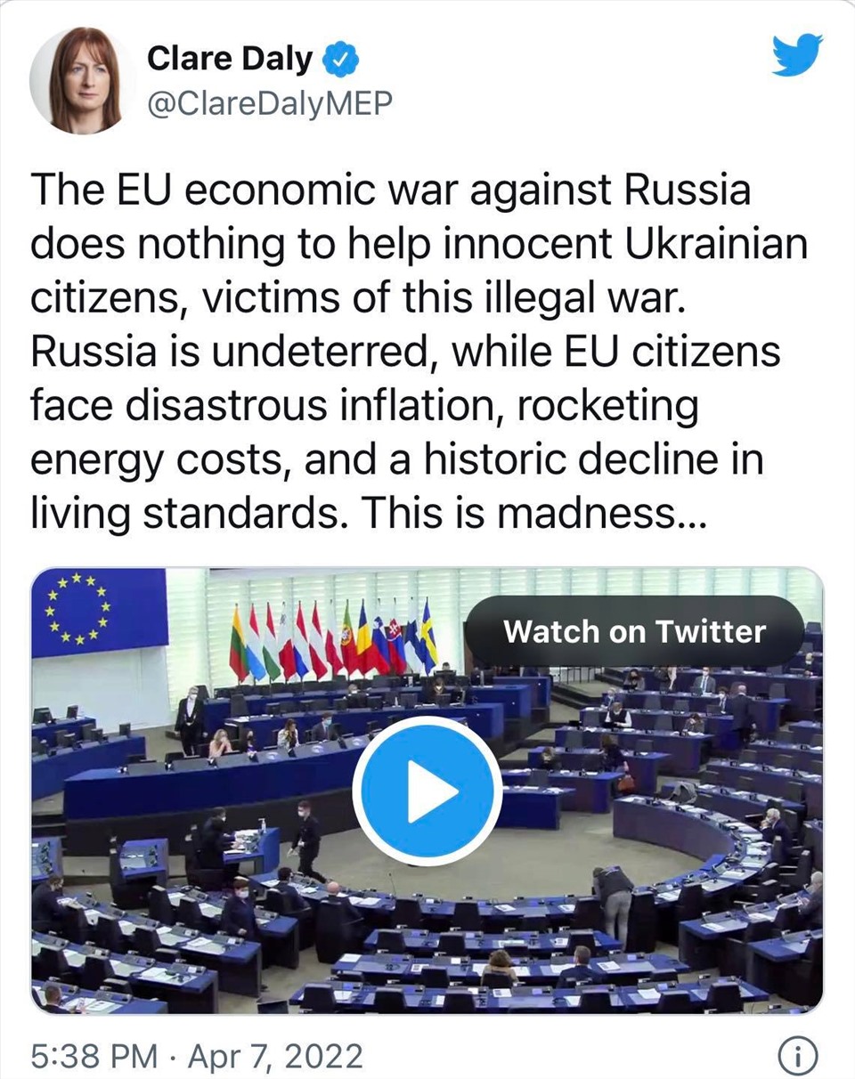 Bà đăng trên Twitter video phát biểu tại Nghị viện Châu Âu. Ảnh chụp màn hình