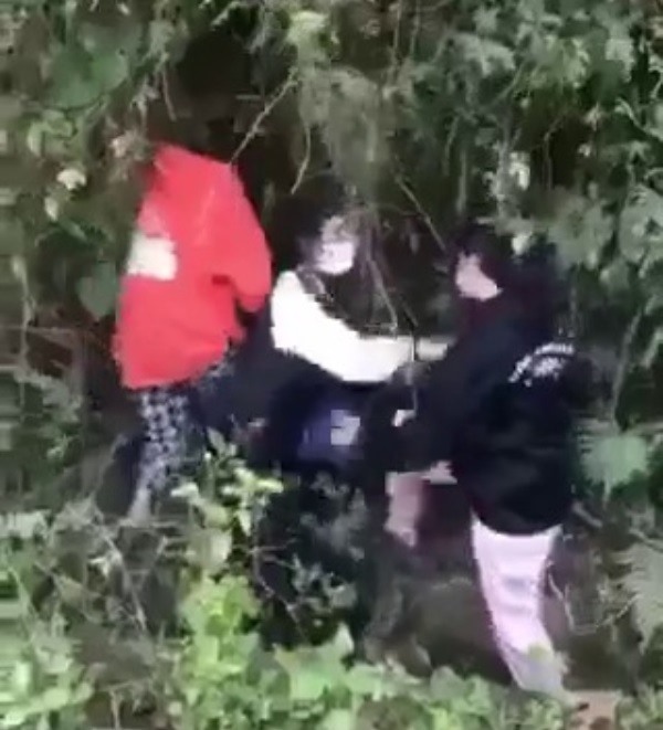Nhóm nữ sinh lao vào đánh nhau trong bụi rậm. Ảnh: Cắt từ clip