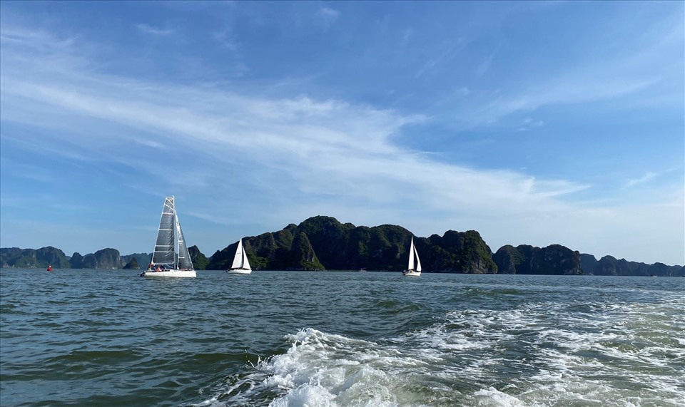 Vịnh Hạ Long được đánh giá là khu vực lý tưởng cho phát triển loại hình thuyền buồm thể thao. Ảnh: CTV