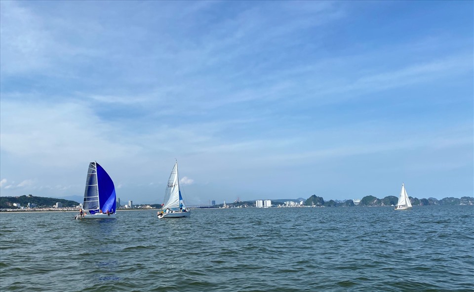 Số lượng thuyền buồm thể thao trên vịnh Hạ Long đang tăng nhanh. Ảnh: CTV