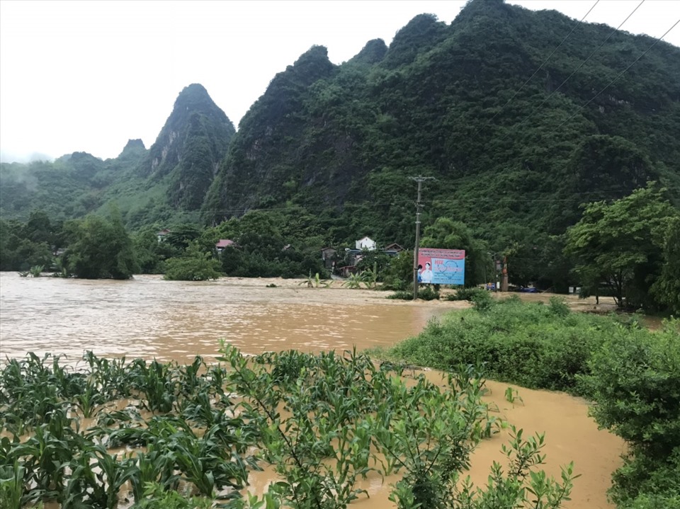 Diện tích lúa và hoa màu trên địa bàn tỉnh Lạng Sơn bị ngập cục bộ 1.507,0 ha; Diện tích thủy sản bị cuốn trôi khoảng 3,0 ha.Gia súc có 06 con bị trôi (ngựa 01 con; lợn 05 con).