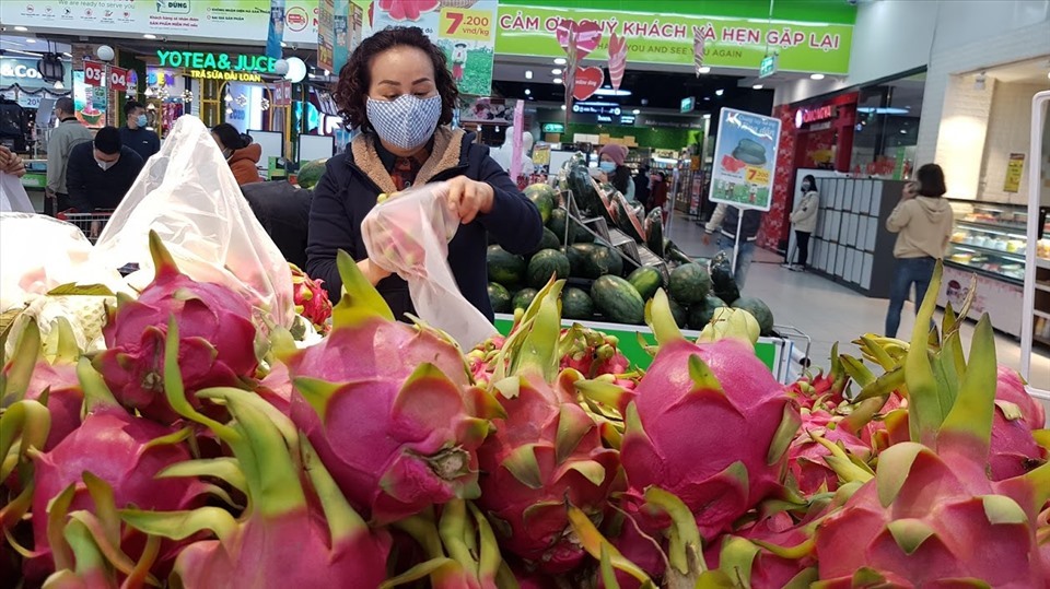 Việt Nam đẩy mạnh xúc tiến thương mại để hỗ trợ nông dân xuất khẩu thanh long thuận lợi. Ảnh: Vũ Long