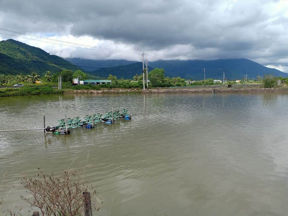 Nhiều ao nuôi ở thôn Ninh Đức, xã Ninh Lộc đã bị thiệt hại, tháo cạn nước.