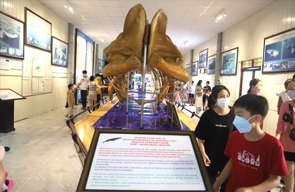 Để phục vụ nghiên cứu, tham quan cũng như giáo dục cộng đồng, Viện Hải dương học ghi chú thông tin về lịch sử, giới thiệu bộ xương cá để người dân dễ tiếp cận.