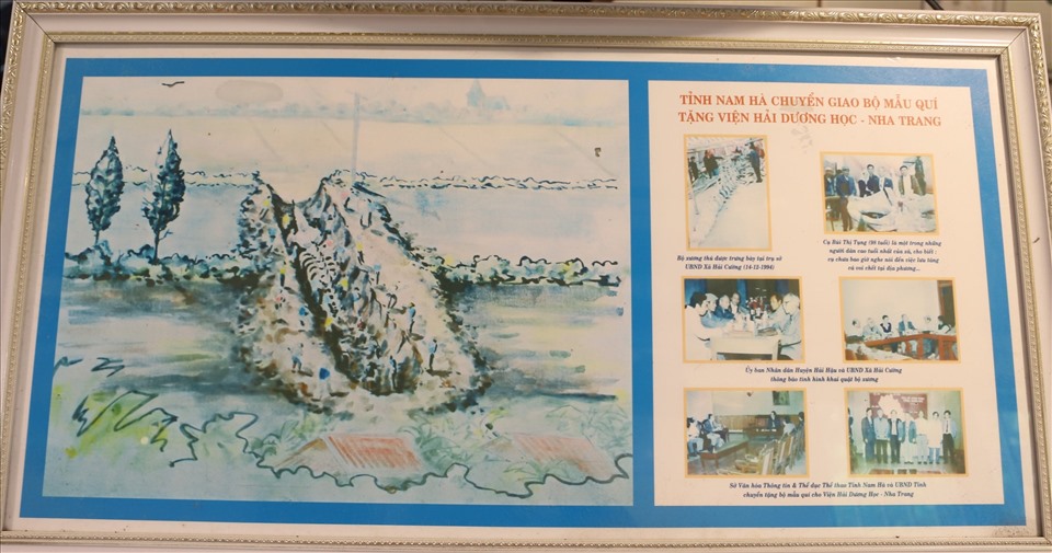 Những hình ảnh về việc ban giao bộ xương cá voi giữa tỉnh Hà Nam xưa, và đại diện Viện Hải dương ở Nha Trang.