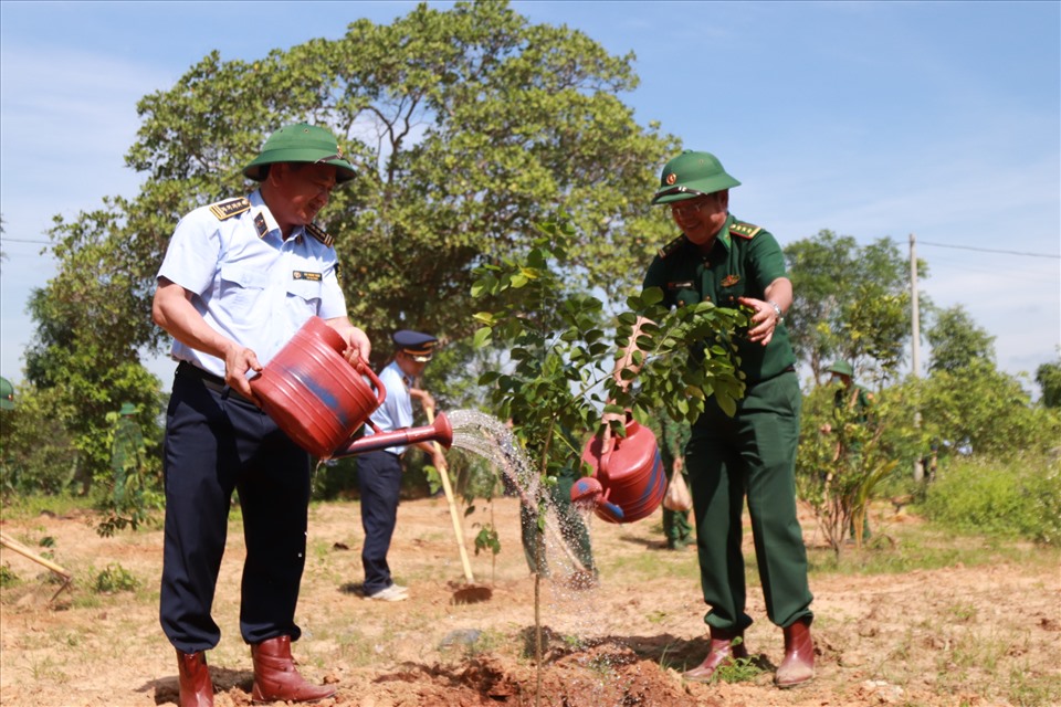 Một lượng lớn cây xanh vừa được trồng mới ở hai huyện vùng biên giới tỉnh Đắk Lắk. Ảnh: Bảo Trung