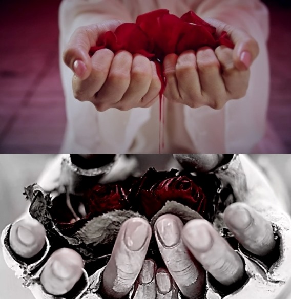 Hình ảnh đôi bàn tay bóp nát những bông hồng khiến nhiều người liên tưởng đến 1 cảnh trong MV “Rose” của nữ ca sĩ Lee Hi. Ảnh: TH
