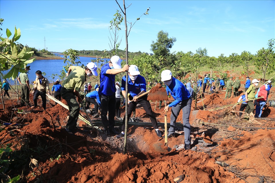 Phong trào trồng cây, gây rừng đang lan tỏa rộng rãi ở các địa phương trên địa bàn tỉnh Đắk Nông. Ảnh: LP