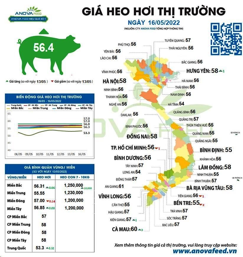 Tại Cà Mau, ngày 16.5.2022, giá lợn (heo) hơi tăng 3.000 đồng/kg, đạt mức 60.000 đồng/kg. Nguồn: Anova Feed.