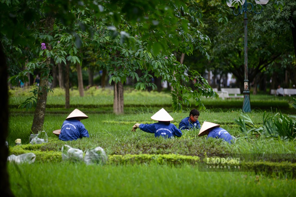 Hiện nay, đã có một hạng mục xuống cấp tại đây đã được sửa sang lại. Được biết, công viên Cầu Giấy nằm trong danh sách 10 công viên sẽ được cải tạo và sửa chữa ở mức độ 2.