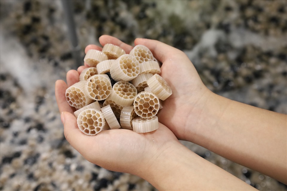 Những vi sinh bám và sống nhờ trong hạt nhựa kaldnes có vai trò như san hô. Ảnh: Nguyễn Thúy.