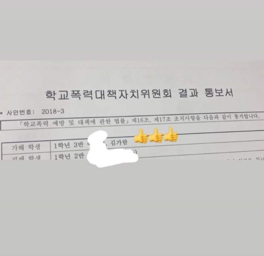 Lời cáo buộc của Yoo Eunseo khá trùng khớp với một văn bản bằng chứng trước đó được lan truyền trên mạng xã hội. Ảnh: twitter