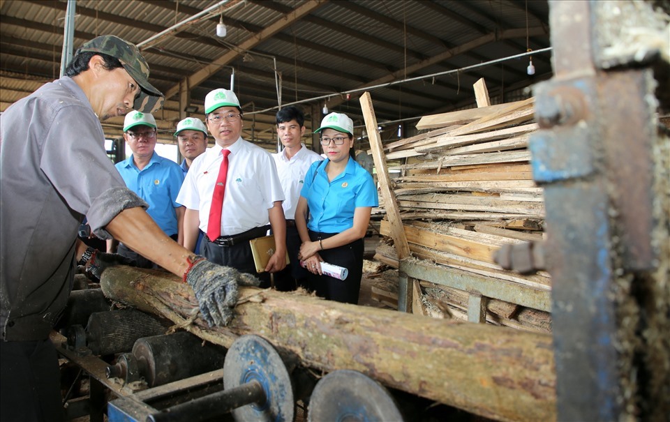 Cán bộ LĐLĐ tỉnh Quảng Trị nghe giới thiệu về sáng kiến làm lợi cho doanh nghiệp kinh doanh gỗ ở tỉnh Quảng Trị. Ảnh: Hưng Thơ.